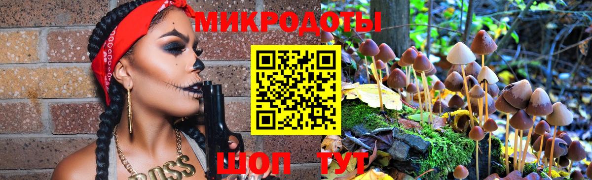 Искитим  Галлюциногенные грибы Cubensis  Вход с VPN 